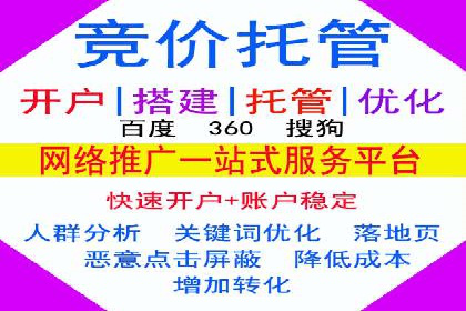 搜索引擎营销（SEM）的投放策略与效果评估——以某行业领先企业的案例分析
